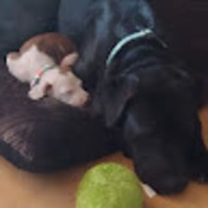 Meet your Posher, Austin